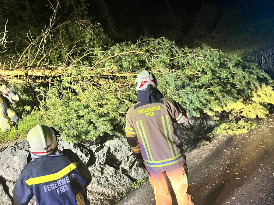 Einsatz 27/22: Technische Hilfeleistung Baum/Ast