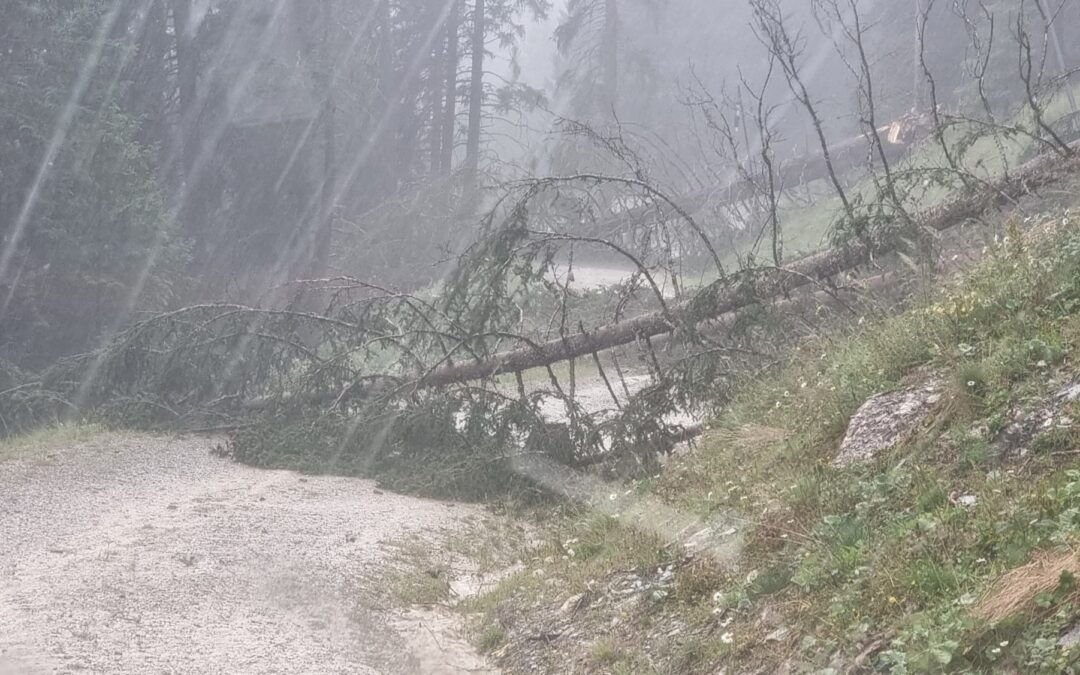 Einsatz 32/23: Assistenzeinsatz Bergbahnen Fiss-Ladis – Personentransport Schöngampalm nach Fiss