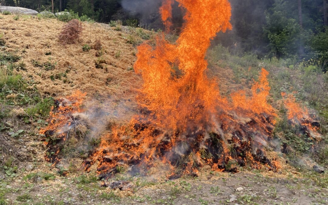 Vegetationsbrandschulung – Abschnitt 1