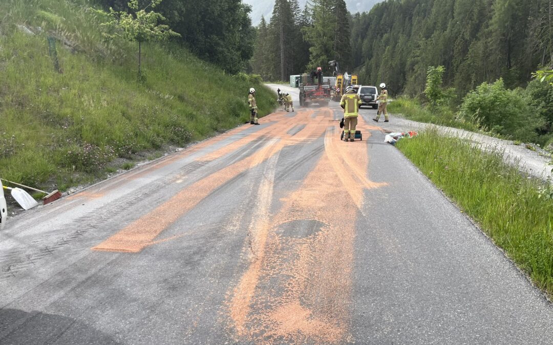 Einsatz 26/24: Dieselaustritt bei einem LKW