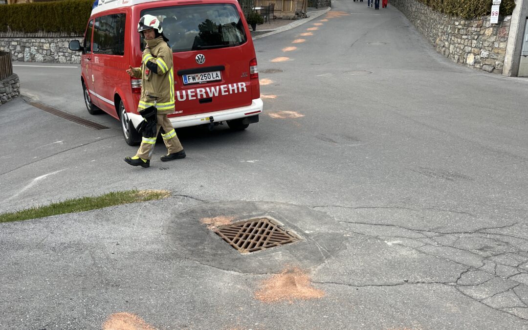 Einsatz 15/25: Ölspur im Bereich Angerweg