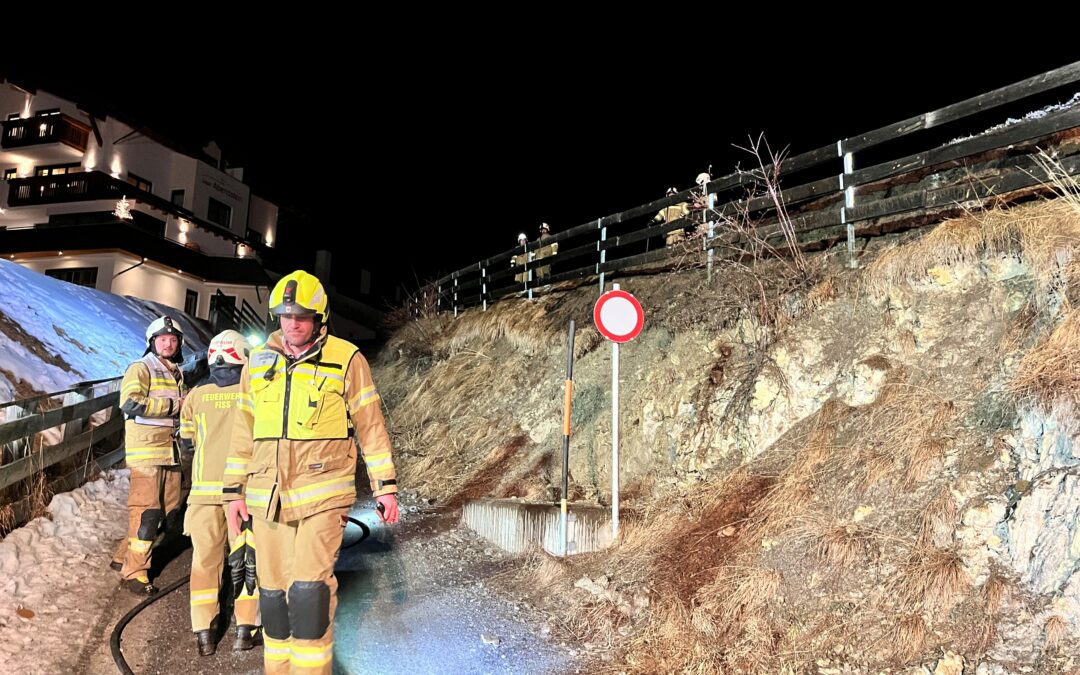 Einsatz 11/26: Wiesenbrand im Bereich Pahlweg